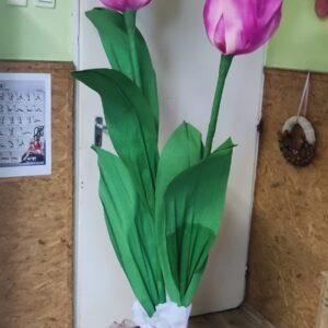 óriás tulipán