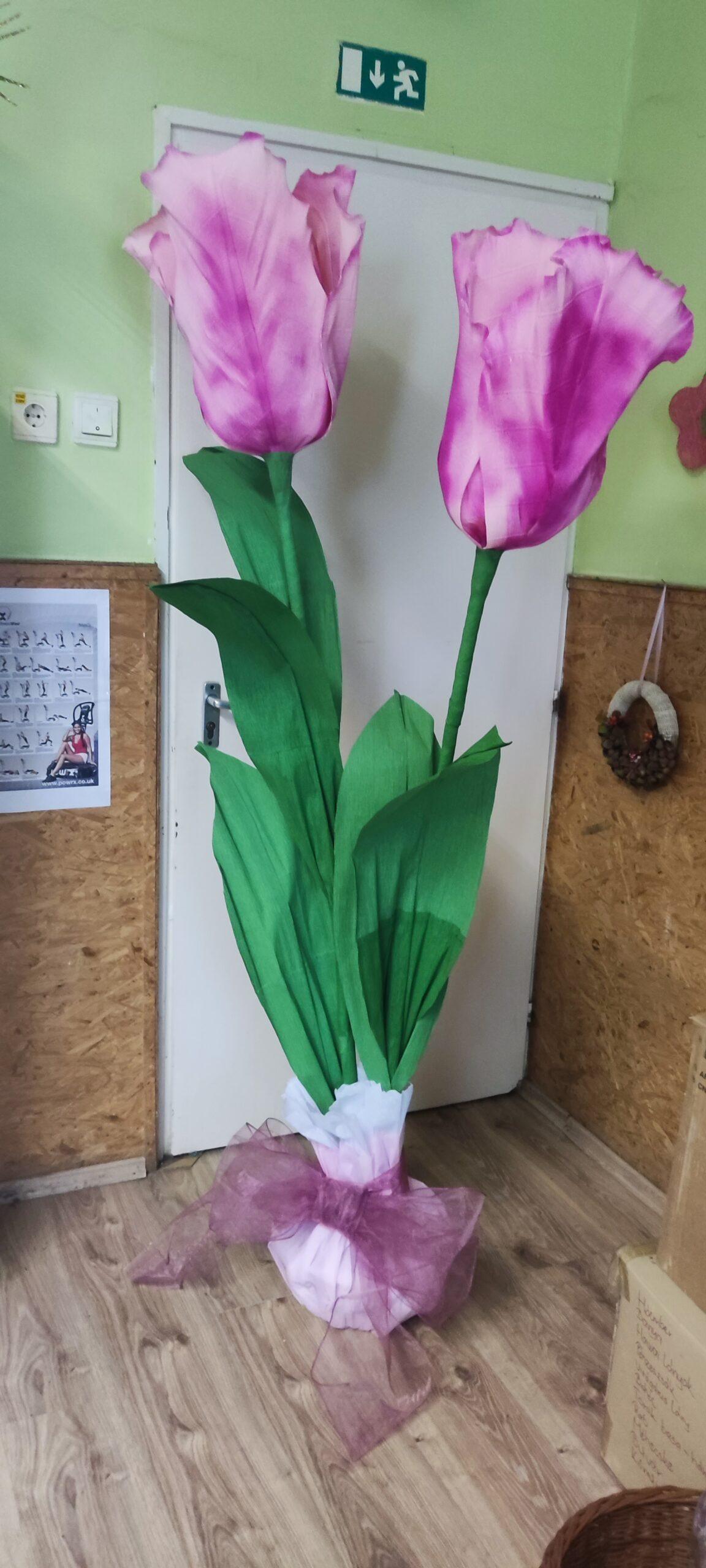óriás tulipán